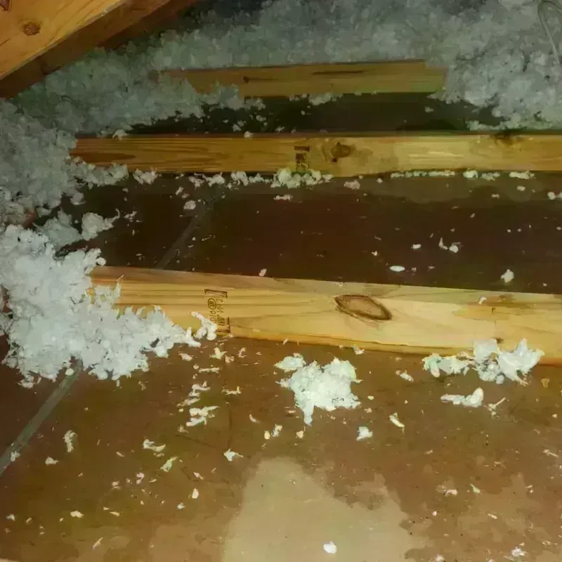 Attic Water Damage in Victoria, TX