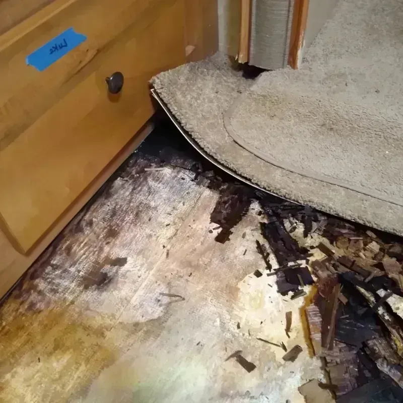 Wood Floor Water Damage in Victoria, TX